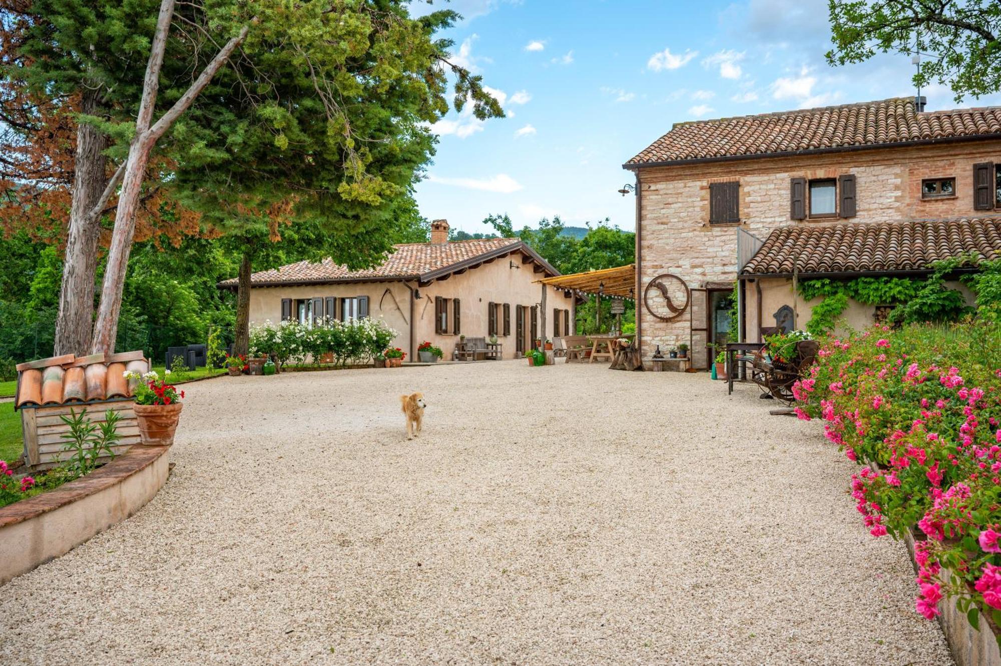 Agriturismo Il Castellaro Sassoferrato エクステリア 写真