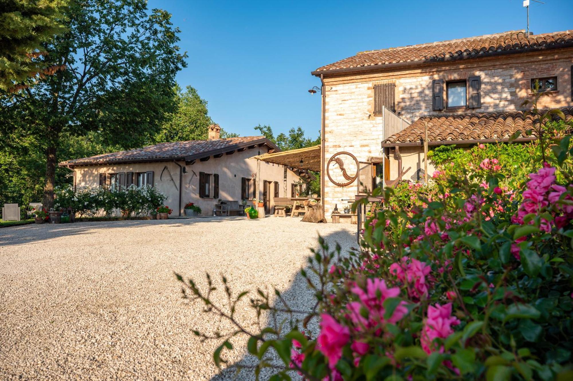 Agriturismo Il Castellaro Sassoferrato エクステリア 写真